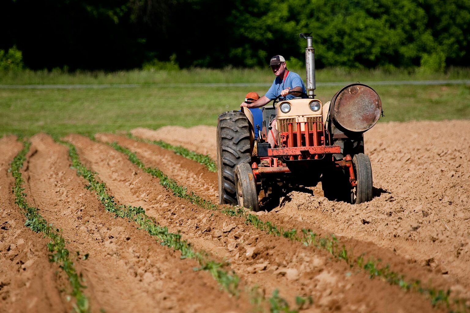 pexels-nc-farm-bureau-mark-2252618